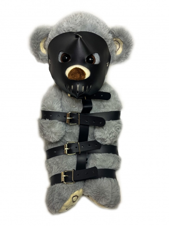 БДСМ Мишка №7
