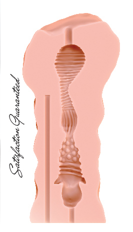 Мастурбатор Satisfaction Honey Pot 2001-02Lola