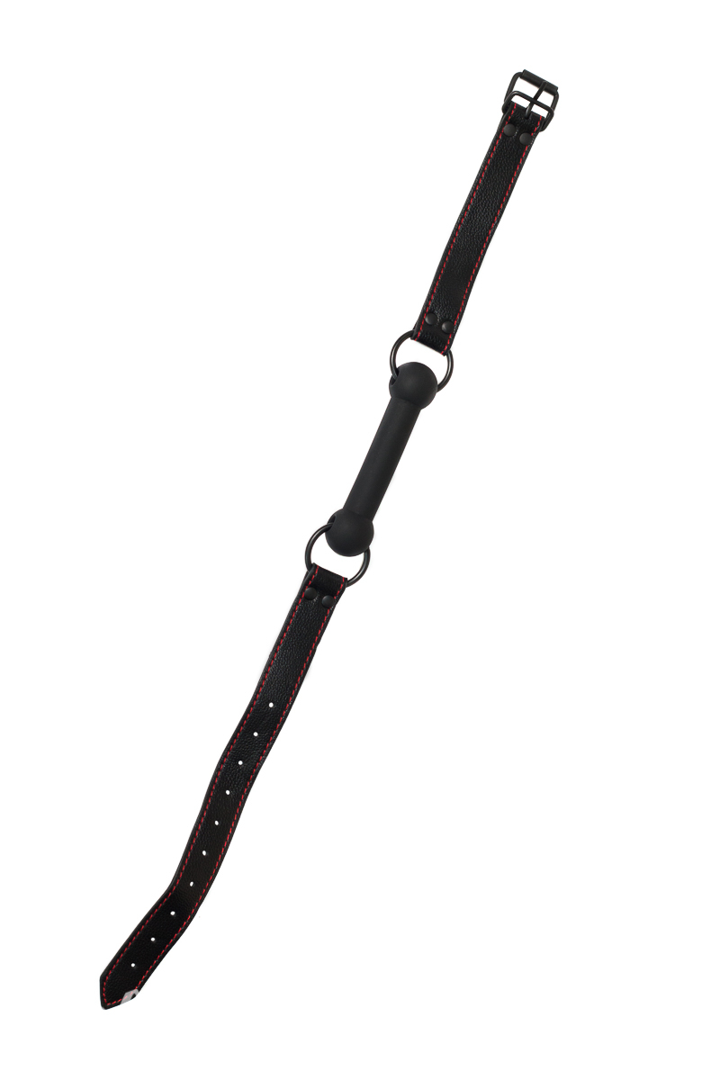 Кляп Party Hard Infatuation 1151-01lola