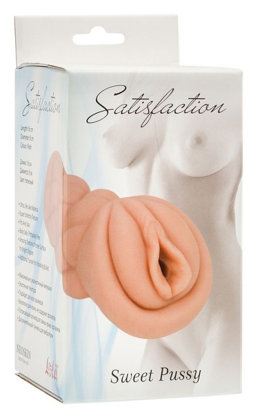Мастурбатор Satisfaction Sweet Pussy 2001-01Lola